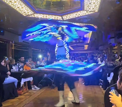tanoura-dance-show